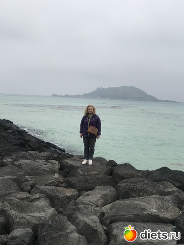 224 фото: Южная Корея. Апрель 2019