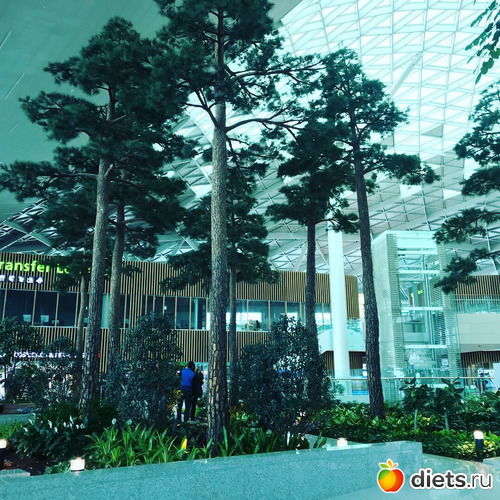 228 фото: Южная Корея. Апрель 2019