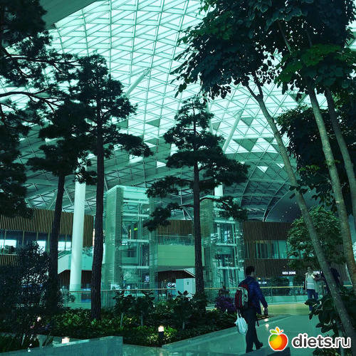 235 фото: Южная Корея. Апрель 2019