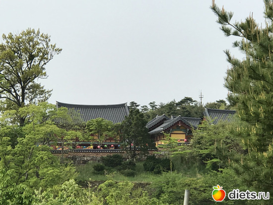 246 фото: Южная Корея. Апрель 2019