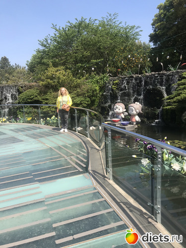 256 фото: Южная Корея. Апрель 2019