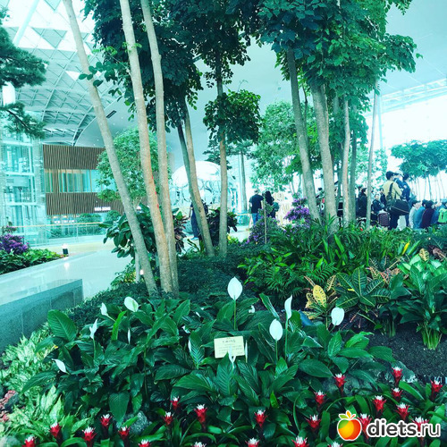 586 фото: Южная Корея. Апрель 2019