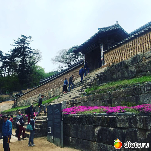 421 фото: Южная Корея. Апрель 2019