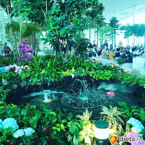 587 фото: Южная Корея. Апрель 2019