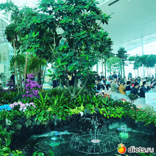 588 фото: Южная Корея. Апрель 2019