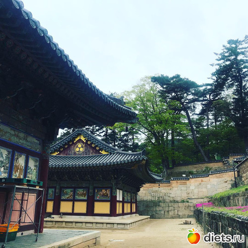 424 фото: Южная Корея. Апрель 2019