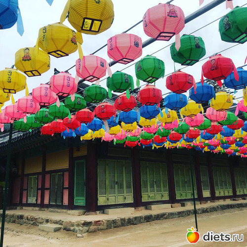 426 фото: Южная Корея. Апрель 2019