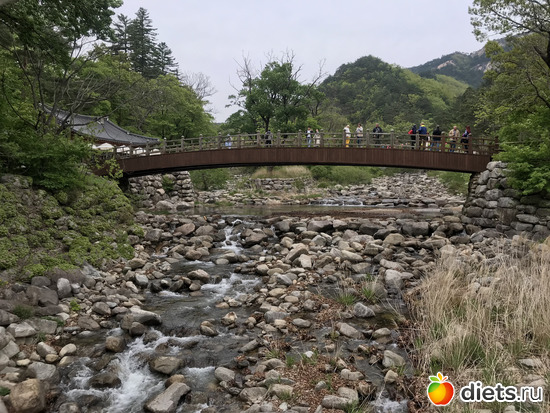 529 фото: Южная Корея. Апрель 2019