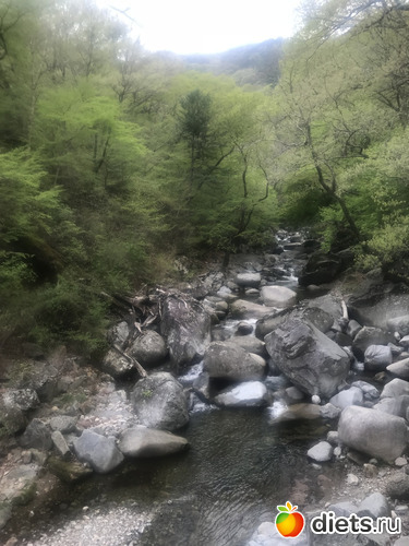 429 фото: Южная Корея. Апрель 2019