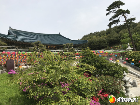 492 фото: Южная Корея. Апрель 2019