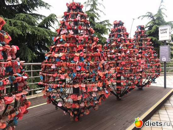 294 фото: Южная Корея. Апрель 2019