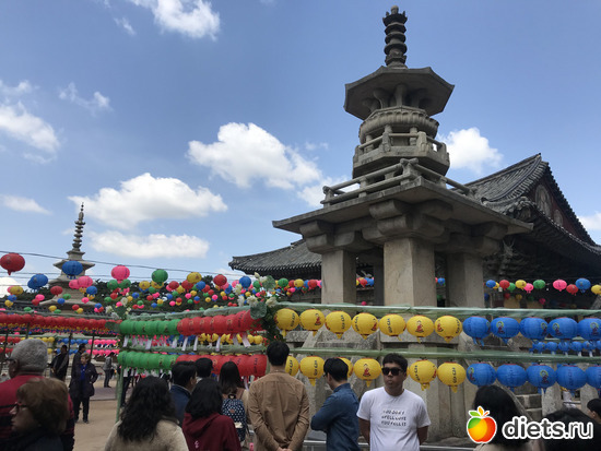 329 фото: Южная Корея. Апрель 2019