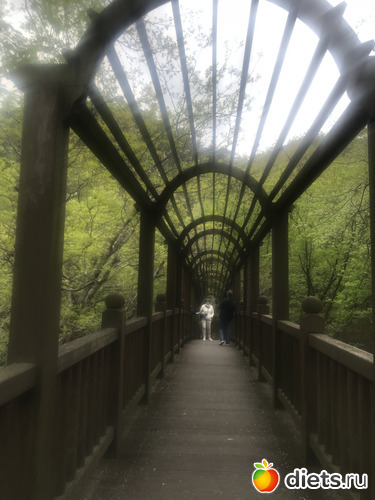 431 фото: Южная Корея. Апрель 2019