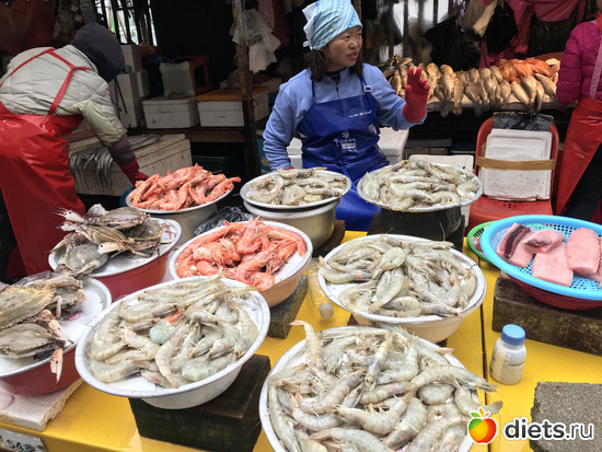 272 фото: Южная Корея. Апрель 2019