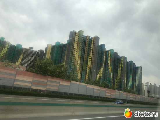 383 фото: Южная Корея. Апрель 2019