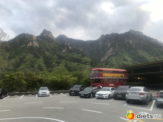 433 фото: Южная Корея. Апрель 2019