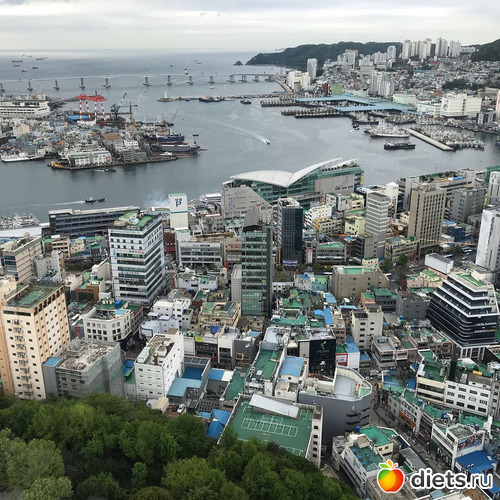 300 фото: Южная Корея. Апрель 2019