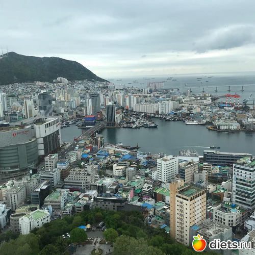 301 фото: Южная Корея. Апрель 2019