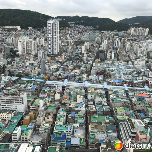 302 фото: Южная Корея. Апрель 2019