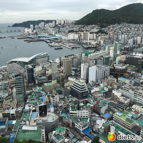 304 фото: Южная Корея. Апрель 2019