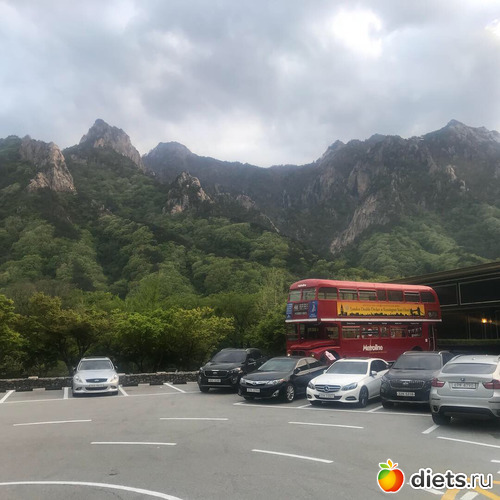 437 фото: Южная Корея. Апрель 2019