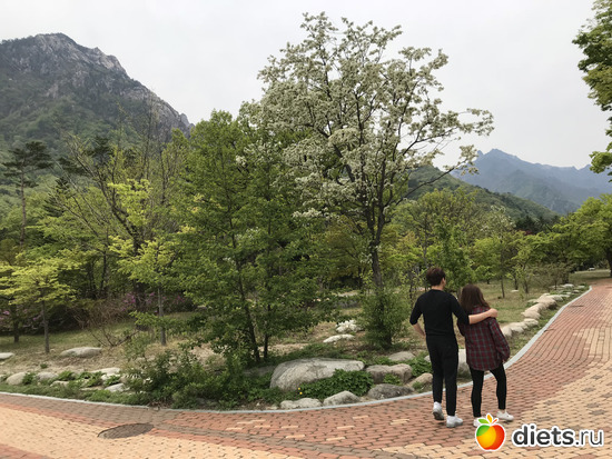 552 фото: Южная Корея. Апрель 2019