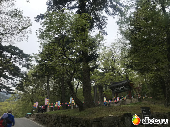 388 фото: Южная Корея. Апрель 2019