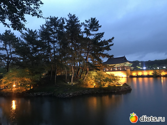 306 фото: Южная Корея. Апрель 2019