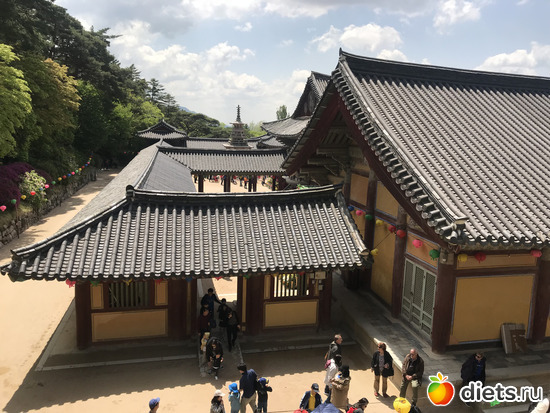 334 фото: Южная Корея. Апрель 2019