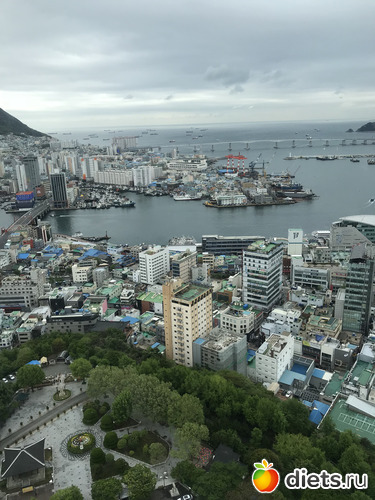 275 фото: Южная Корея. Апрель 2019