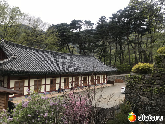 390 фото: Южная Корея. Апрель 2019