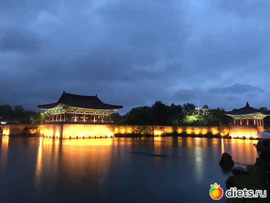 307 фото: Южная Корея. Апрель 2019