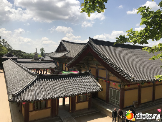 335 фото: Южная Корея. Апрель 2019