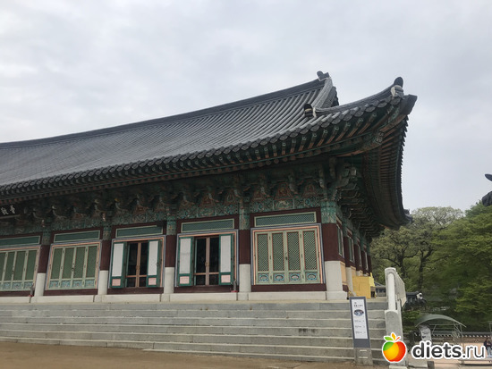 391 фото: Южная Корея. Апрель 2019