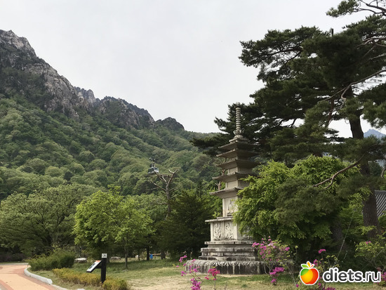 497 фото: Южная Корея. Апрель 2019