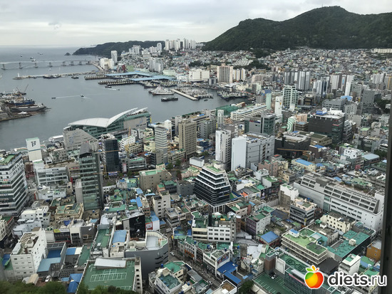 276 ����: ����� �����. ������ 2019