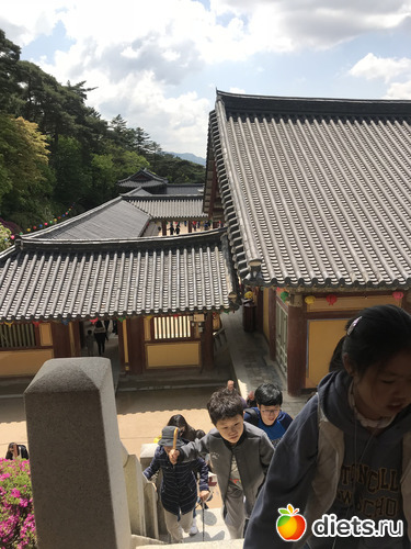 336 ����: ����� �����. ������ 2019