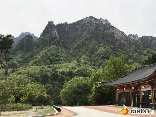 498 фото: Южная Корея. Апрель 2019