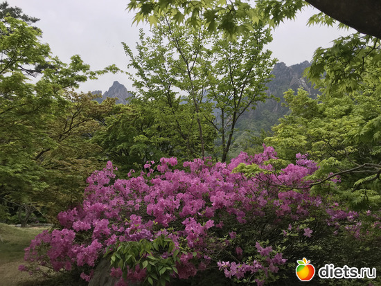 556 ����: ����� �����. ������ 2019