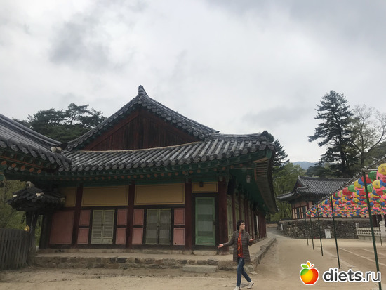 393 ����: ����� �����. ������ 2019