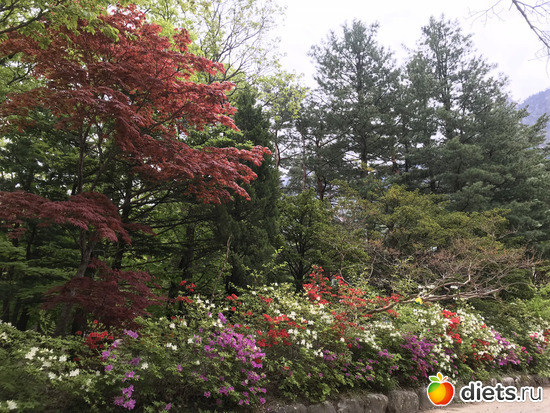 533 ����: ����� �����. ������ 2019