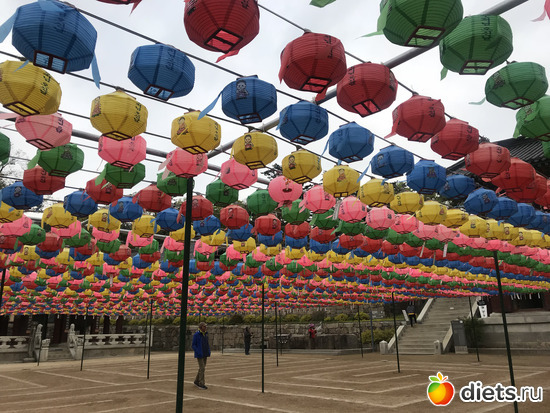 394 фото: Южная Корея. Апрель 2019