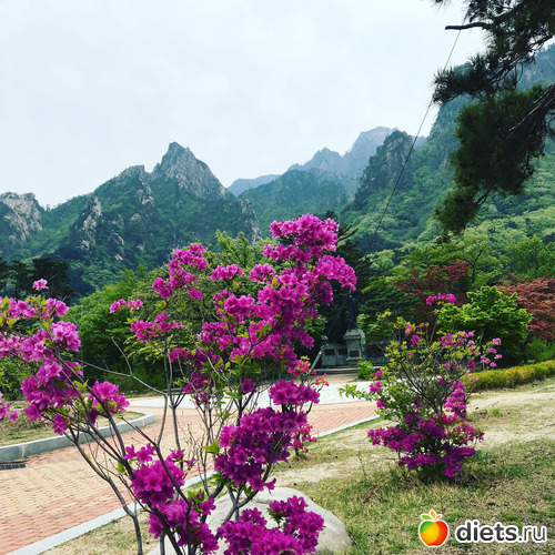 558 ����: ����� �����. ������ 2019