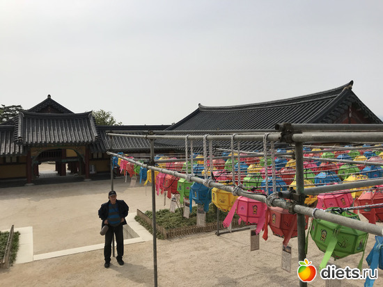 476 фото: Южная Корея. Апрель 2019