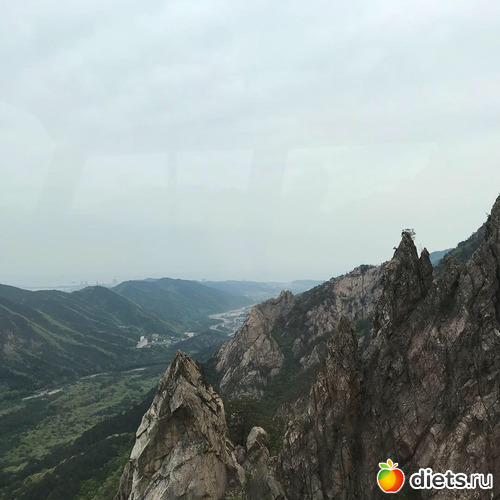 559 фото: Южная Корея. Апрель 2019