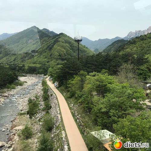 560 фото: Южная Корея. Апрель 2019