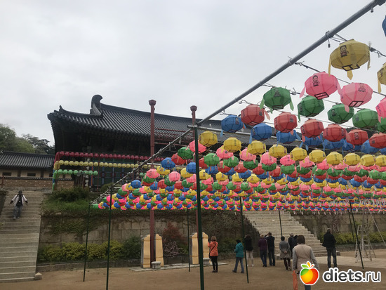 396 фото: Южная Корея. Апрель 2019