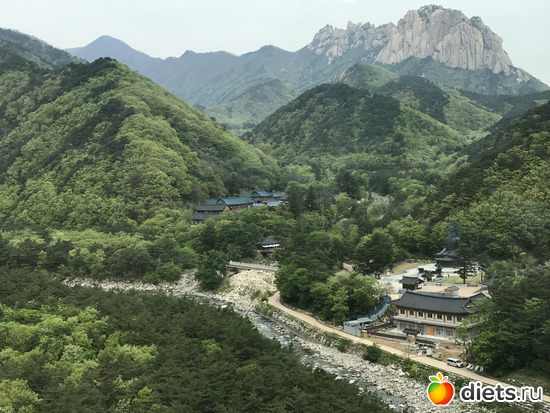 501 фото: Южная Корея. Апрель 2019