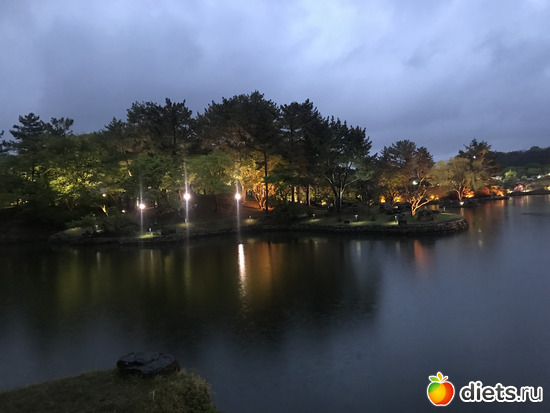 311 ����: ����� �����. ������ 2019