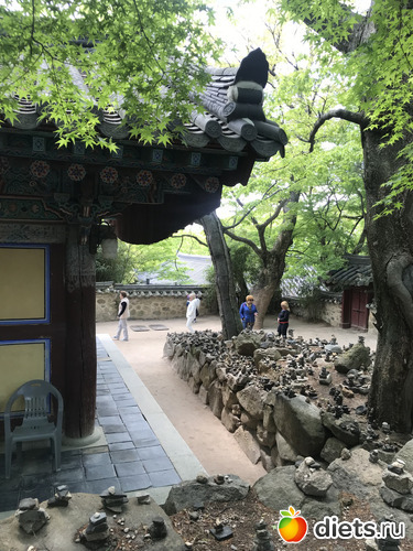 339 фото: Южная Корея. Апрель 2019